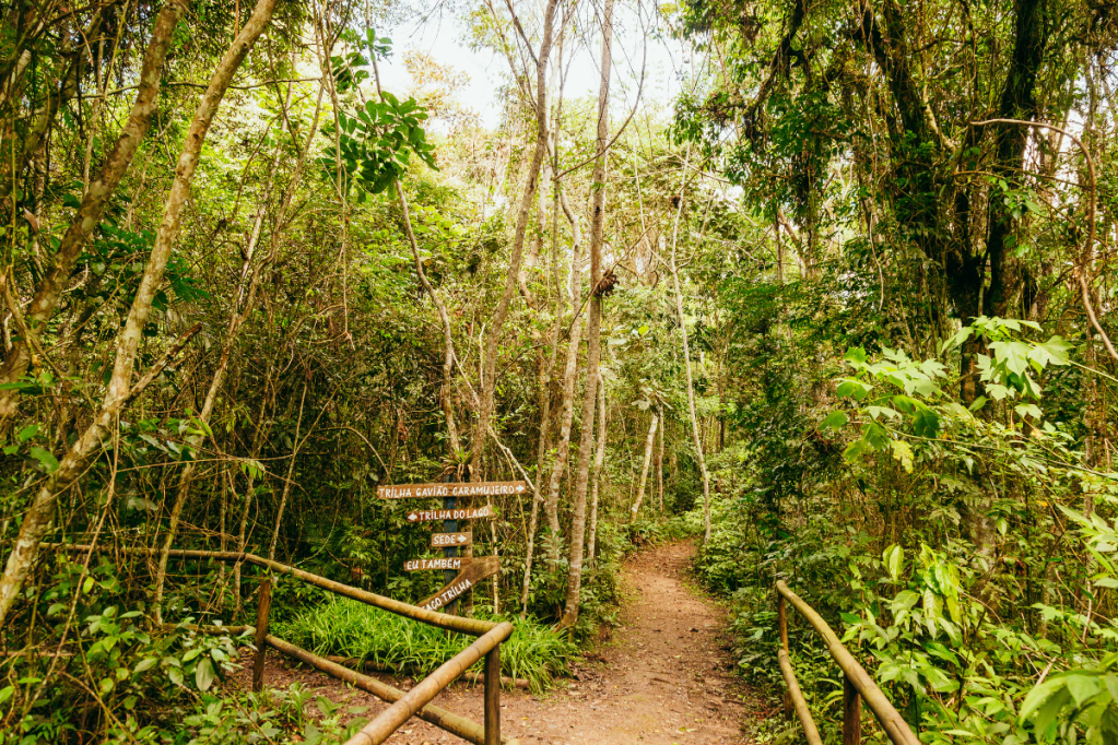 São Paulo inaugura trilha com 182km de extensão em meio à natureza