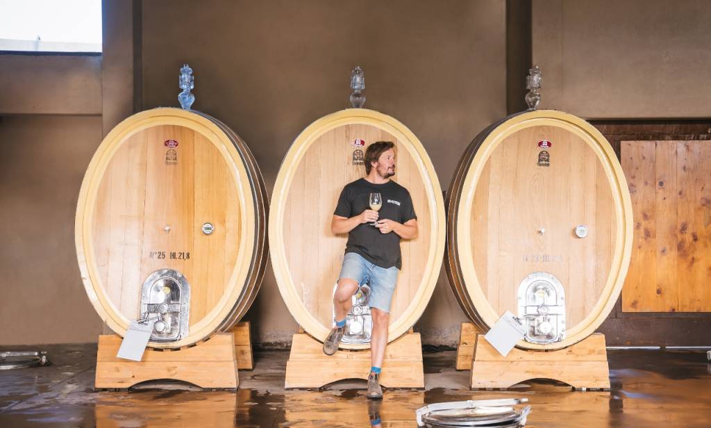 Degustação de vinhos Riccitelli terá distribuição de brindes