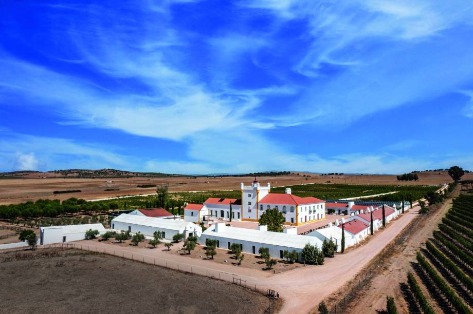 Torre de Palma Wine Hotel: produção de vinhos e vista para os vinhedos Torre de Palma Wine Hotel: produção de vinhos e vista para os vinhedos