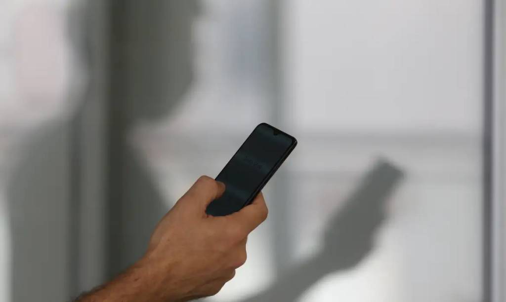 Entenda emojis usados por pedófilos nas redes sociais para trocar imagens de menores