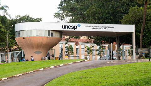 unesp-festa-100-dias-internacoes-jaboticabal