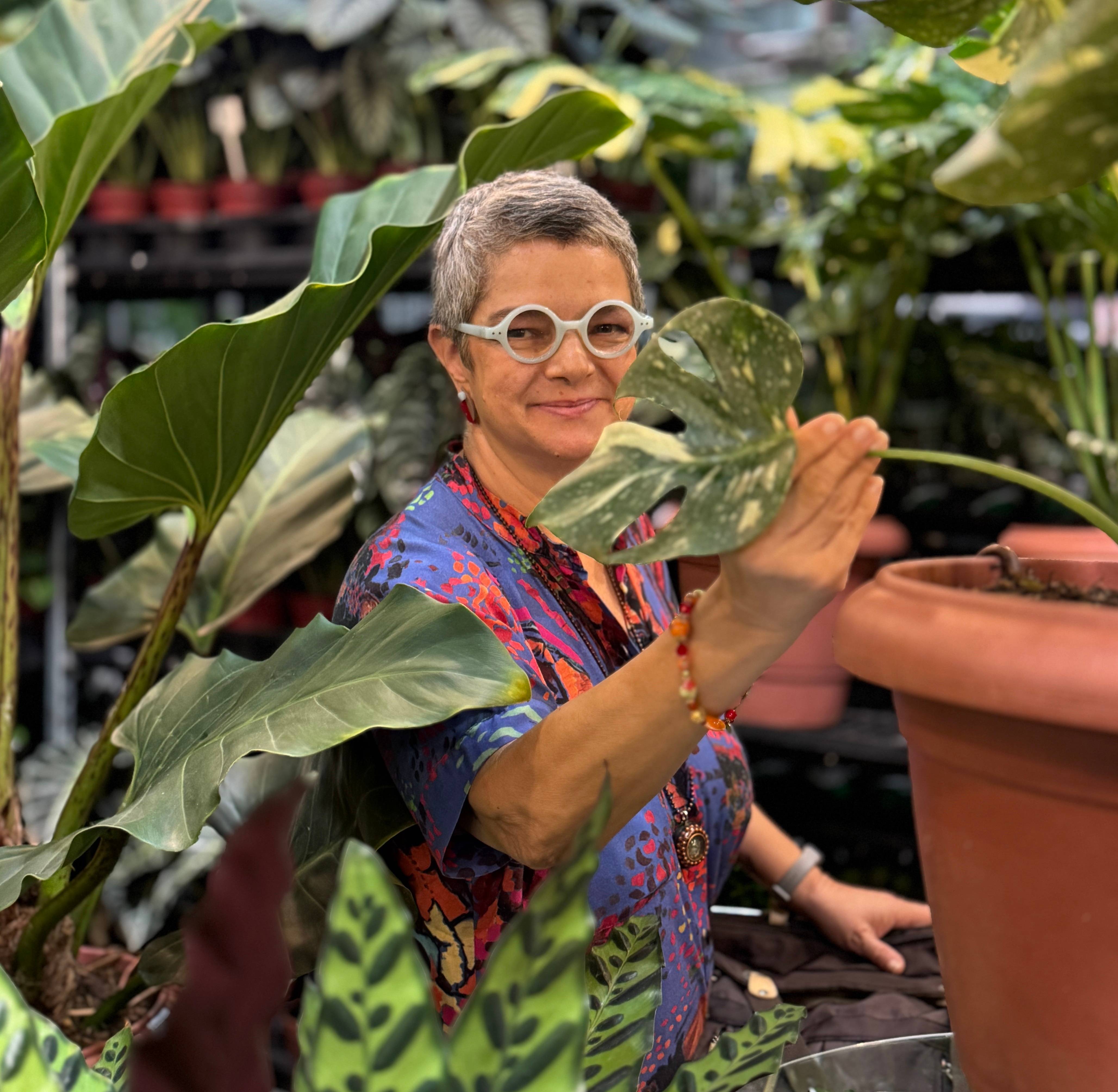 Estudiosa usa as plantas como filtros de energia