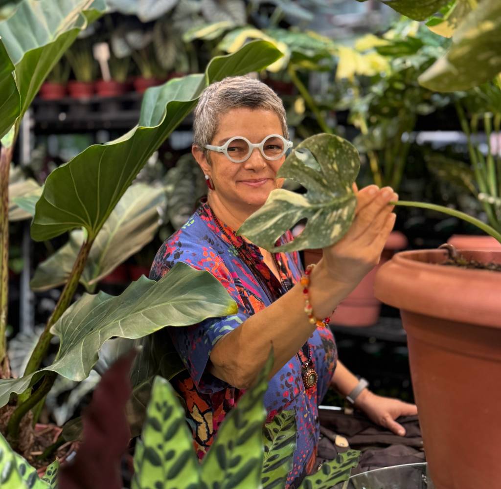 Estudiosa usa as plantas como filtros de energia
