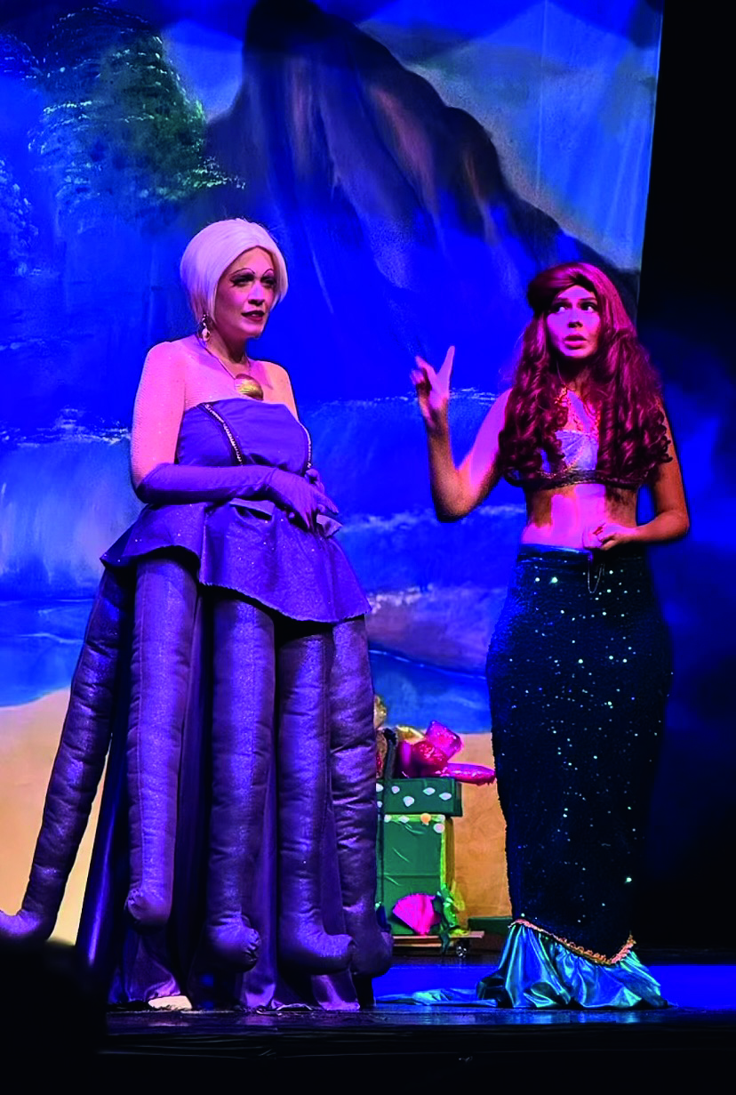 A pequena seria Peça shopping jardim sul