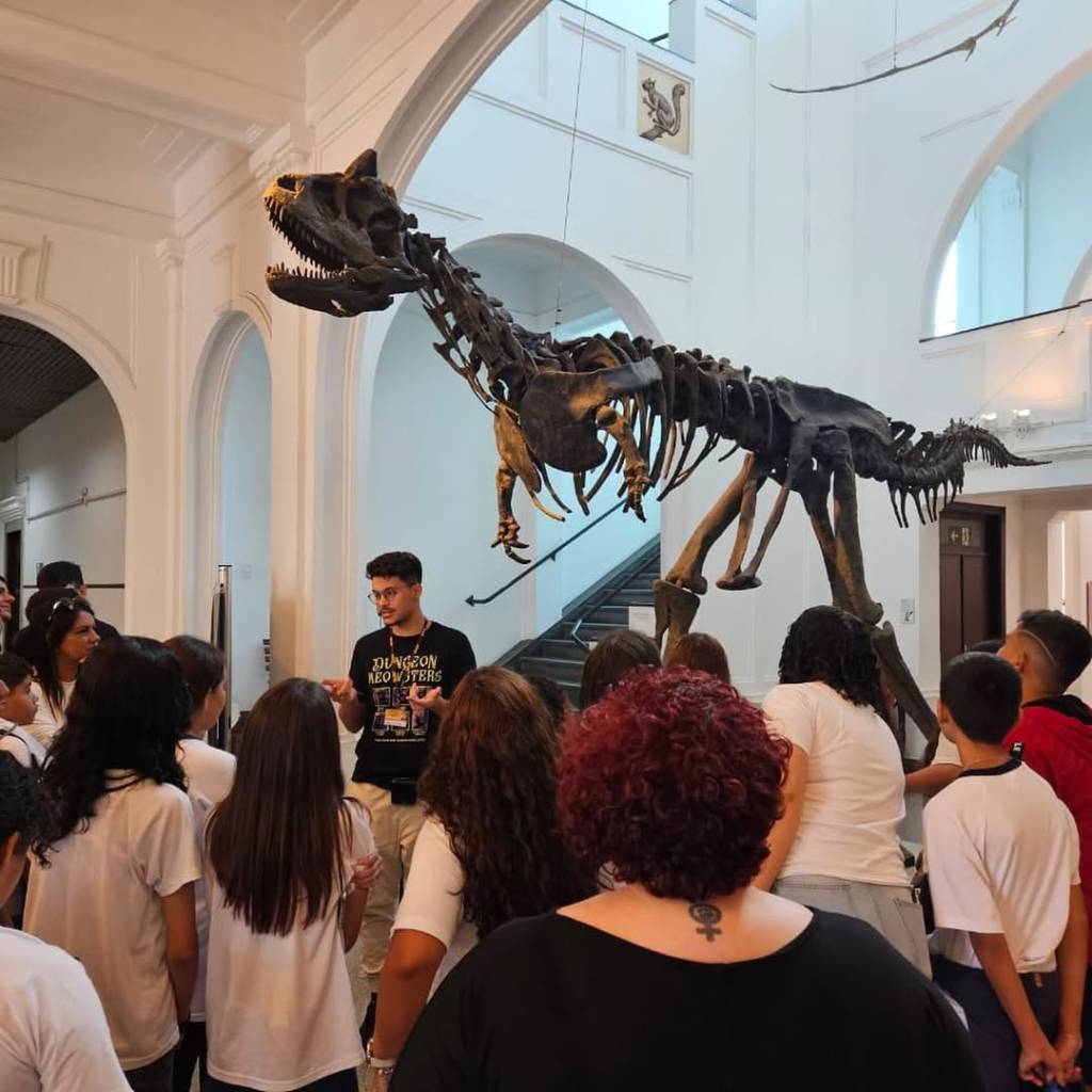 Museu de Zoologia da USP: saiba como visitar instituição com mais 10 milhões de peças preservadas