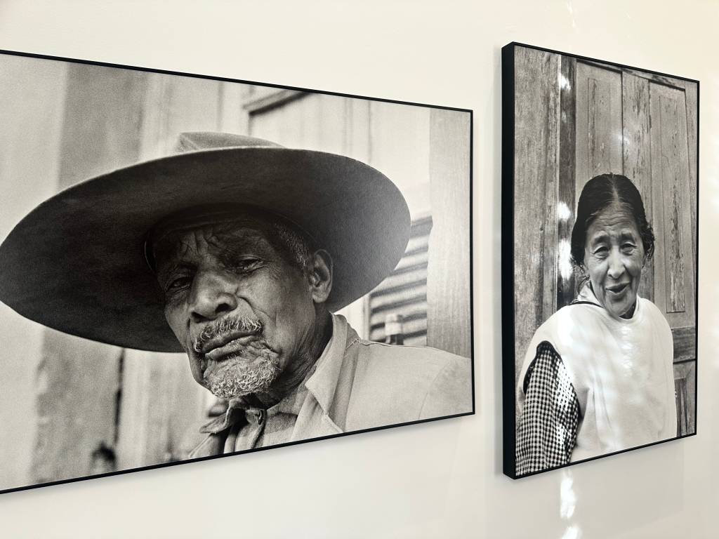 Em parceira com o IMS, Campos do Jordão ganha mostra de fotógrafa polonesa que sobreviveu ao Holocausto