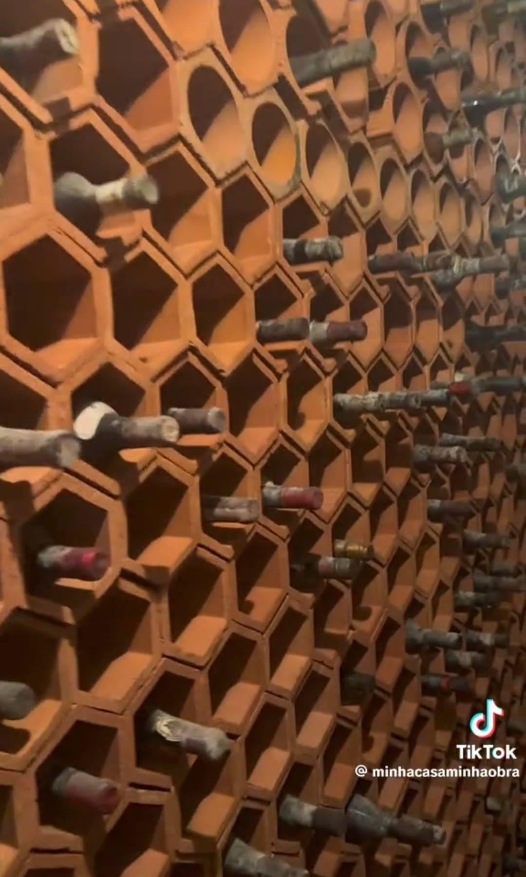 Casal encontra adega de vinhos escondida durante reforma e viraliza