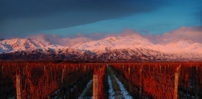 terraza-los-andes-viagem-vinicola-argentina