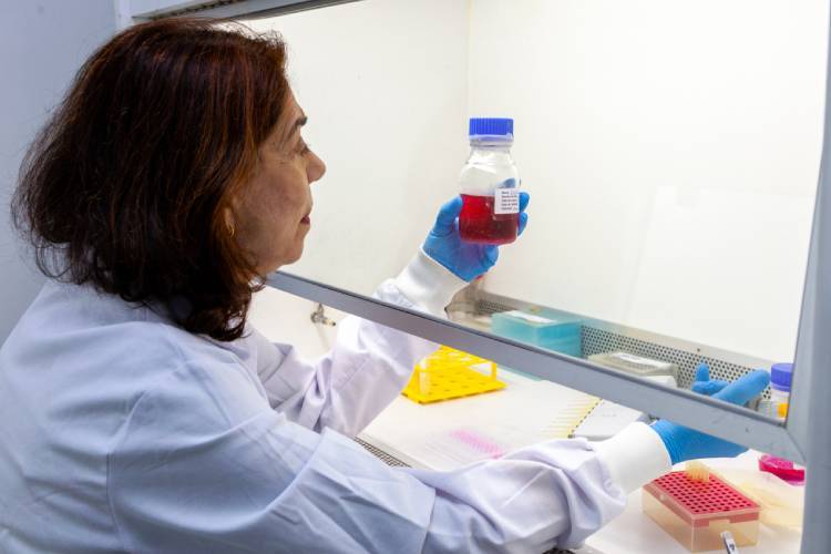 Instituto Butantan inicia a entrega de 1,3 milhão de vacina contra a dengue na próxima semana