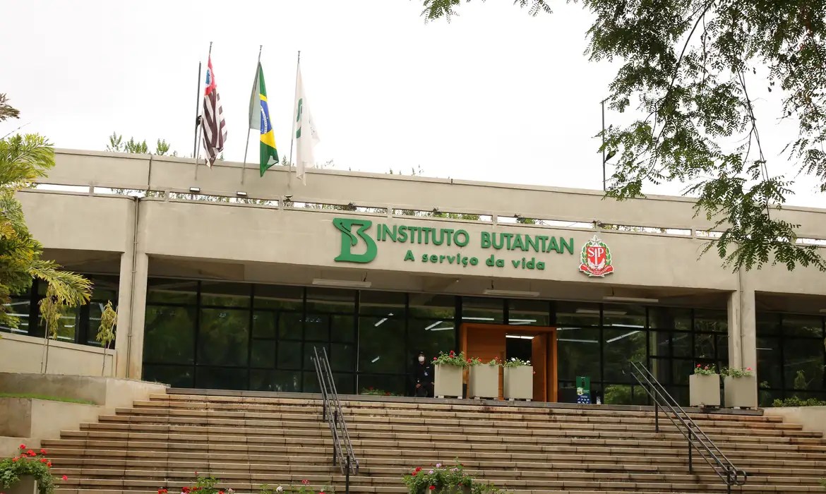 Instituto Butantan elabora anticorpo contra vírus Zika para possível uso em grávidas