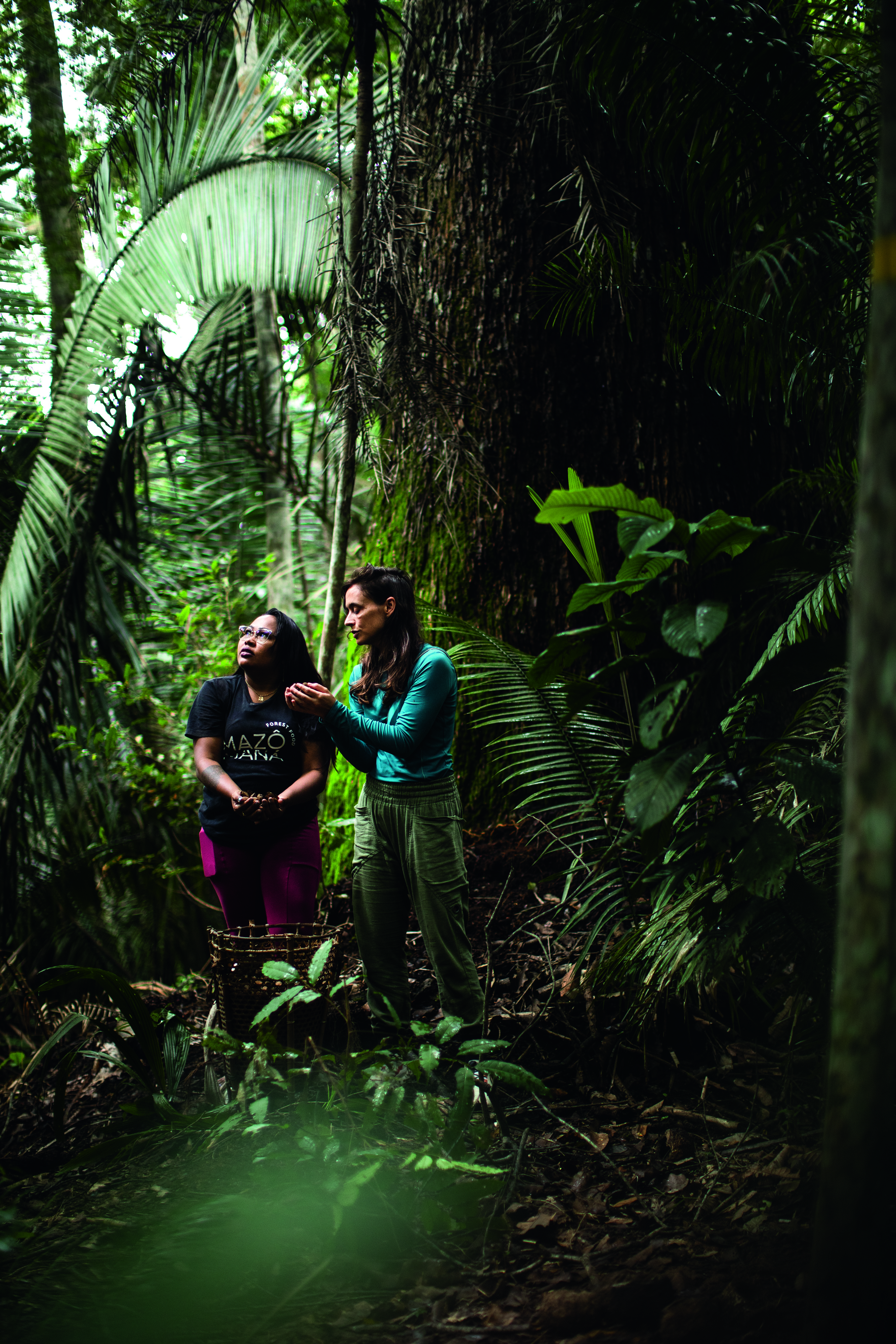 Duas mulheres em floresta olhando