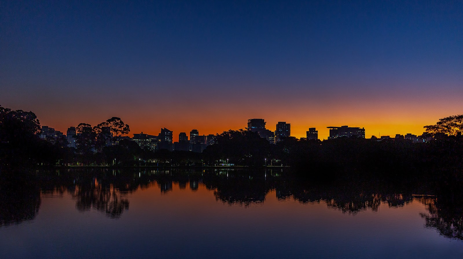Concurso de fotografia celebra os 71 anos do Parque Ibirapuera; saiba como participar