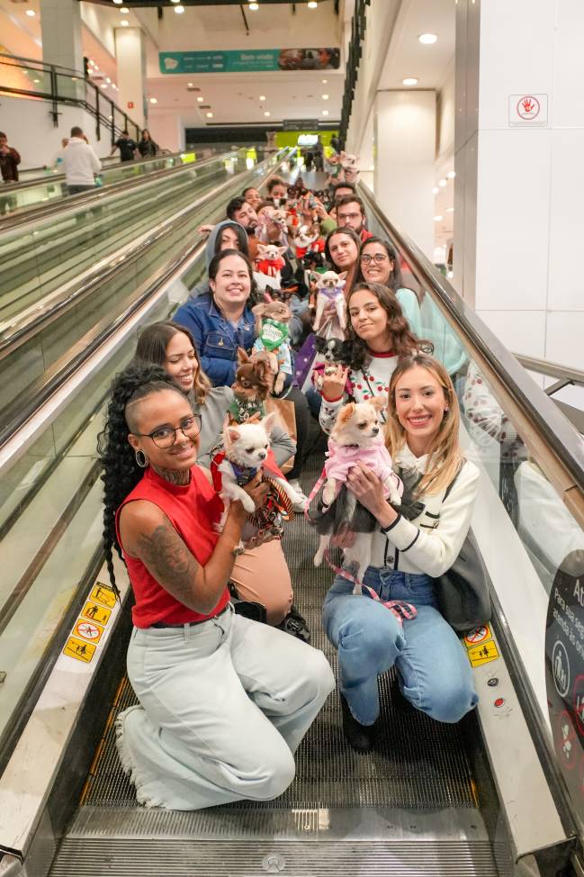 Fim de Semana Pet Shopping Butantã