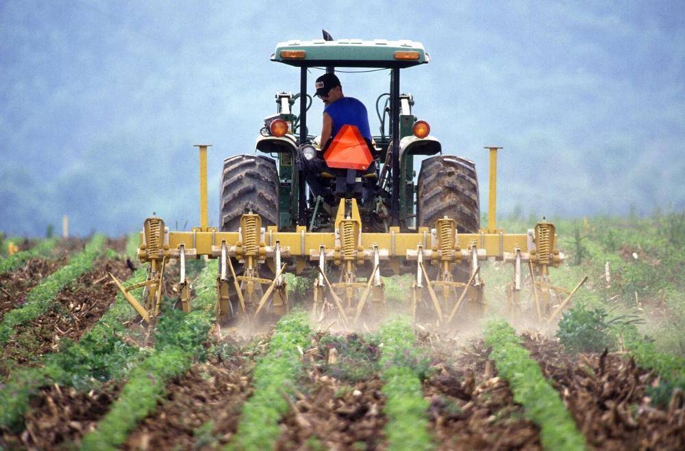 Um mês após ‘tarifaço’, agro paulista tem superávit de US$ 14 bi