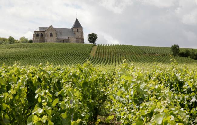 Foire Aux Vins traz lançamentos e rótulos consagrados da Chez France