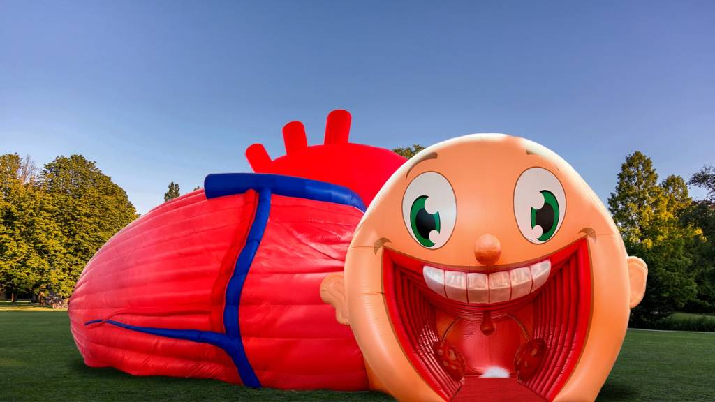 São Paulo recebe exposição imersiva que convida o público a caminhar dentro do corpo humano