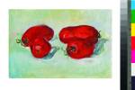PINTURA TOMATES DE MARIA KLABIN