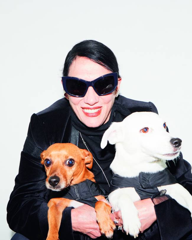 gloria-coelho-carreira