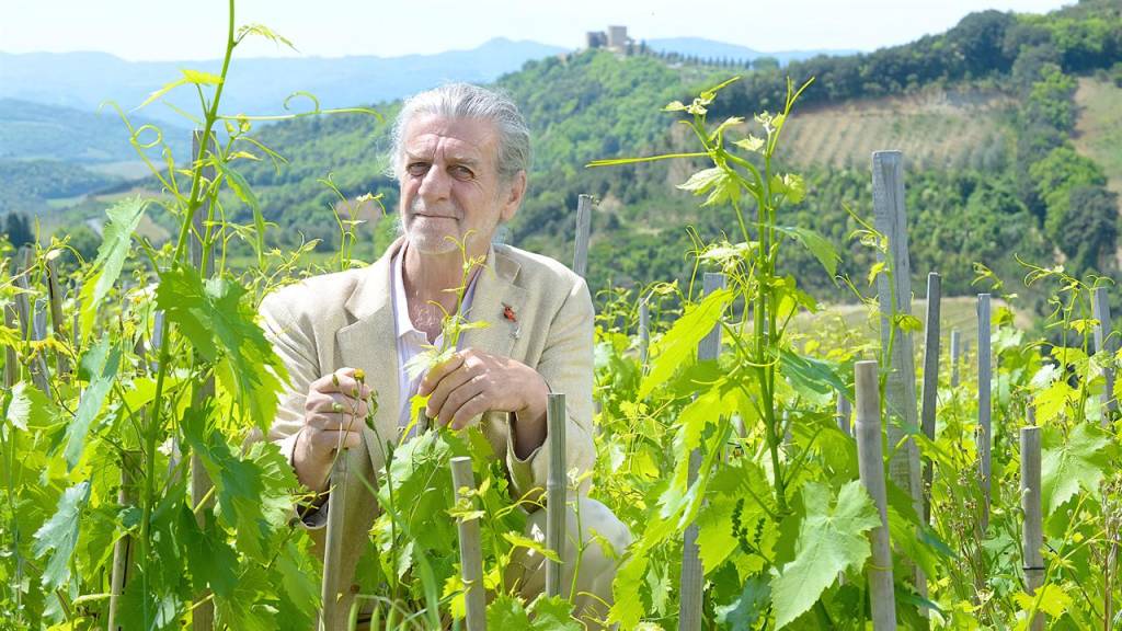 Podere Le Ripi: uma comunidade que cultiva vínculos, vinhos e o espírito “Forever Young”