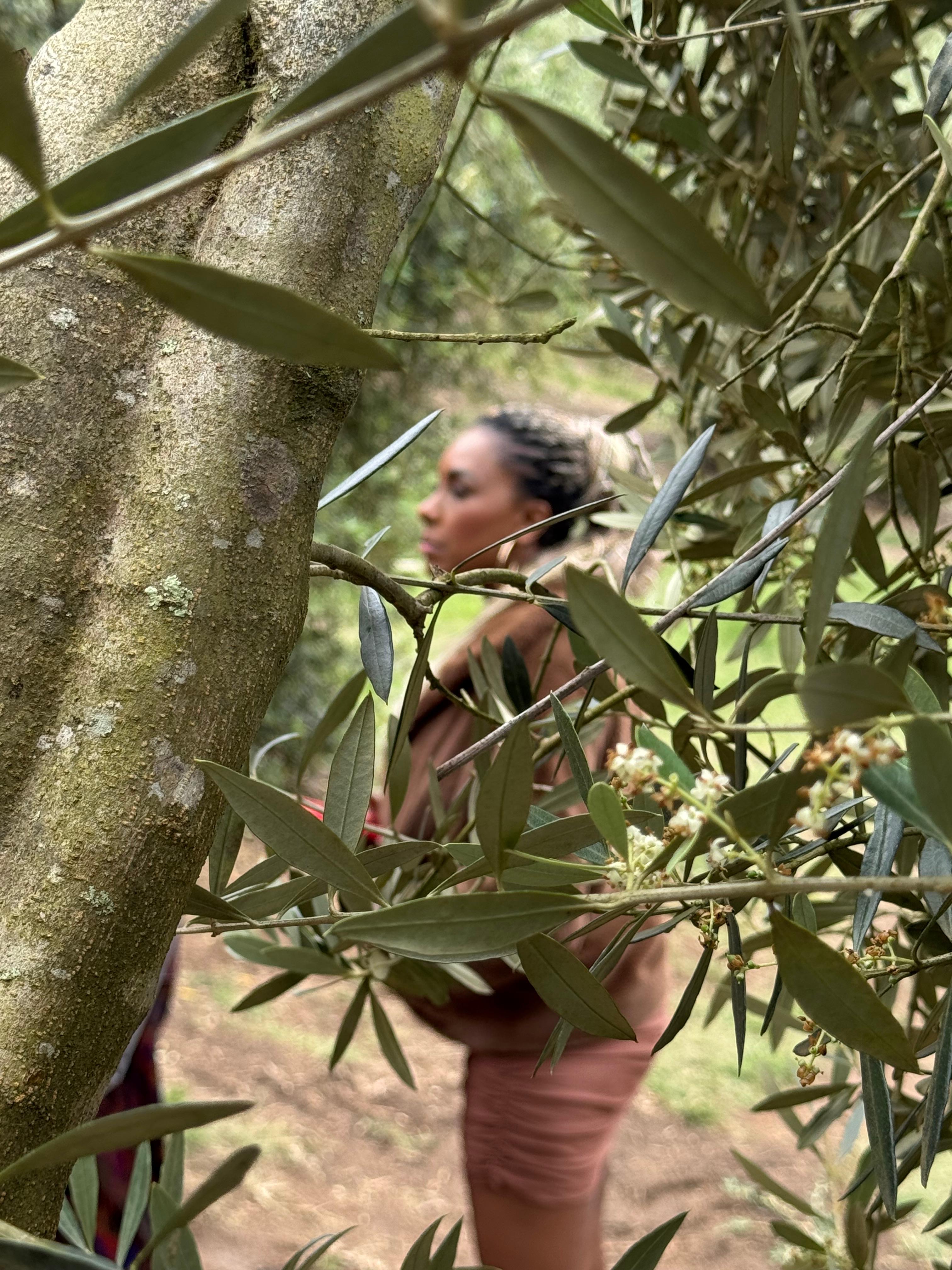 d33b113e-8538-4359-8701-6a712718ba1c