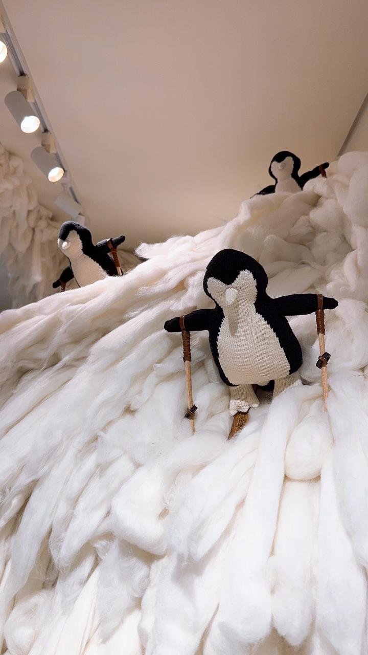 Anselmi Crédito Divulgação (2)