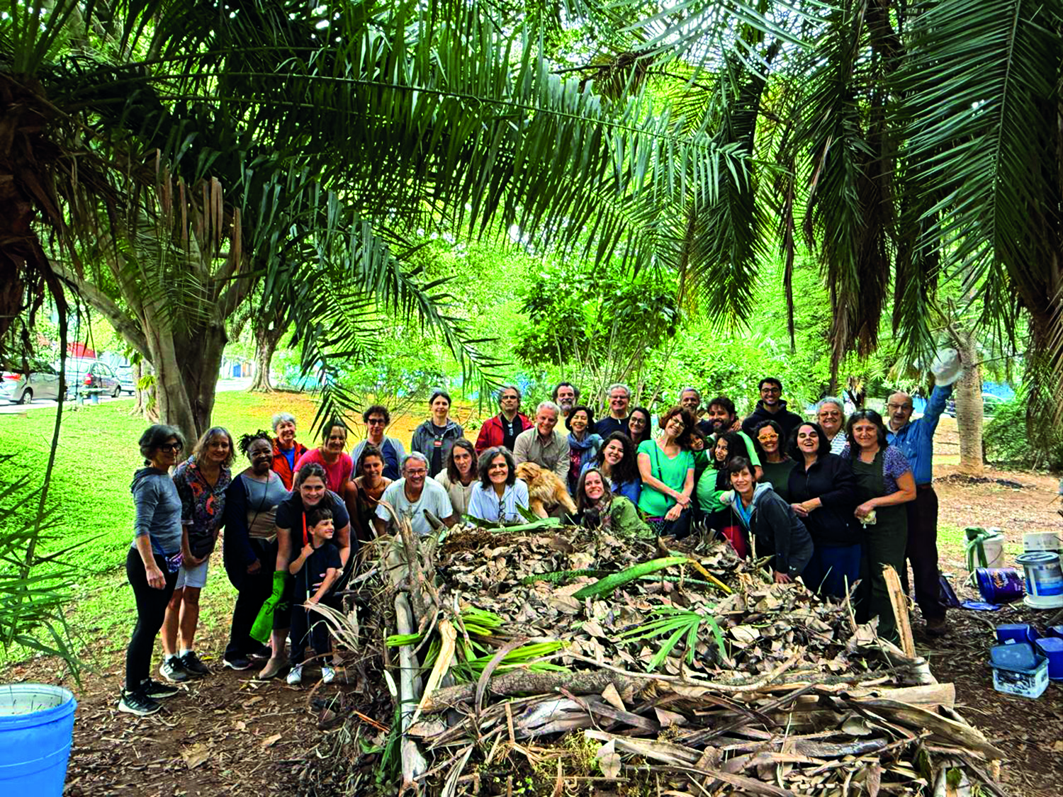 compostagem-pinheiros