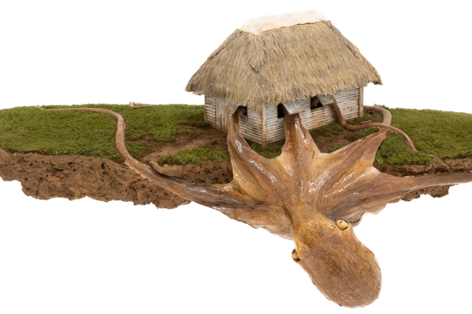 jorge mayet Cópia de Casa com polvo 42 x 90 x 30 cm