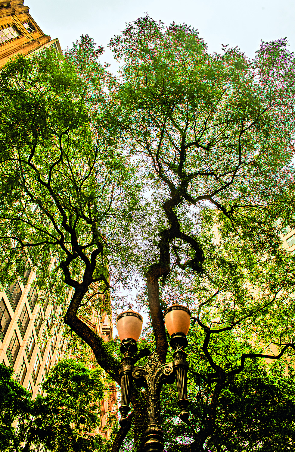centro-sp