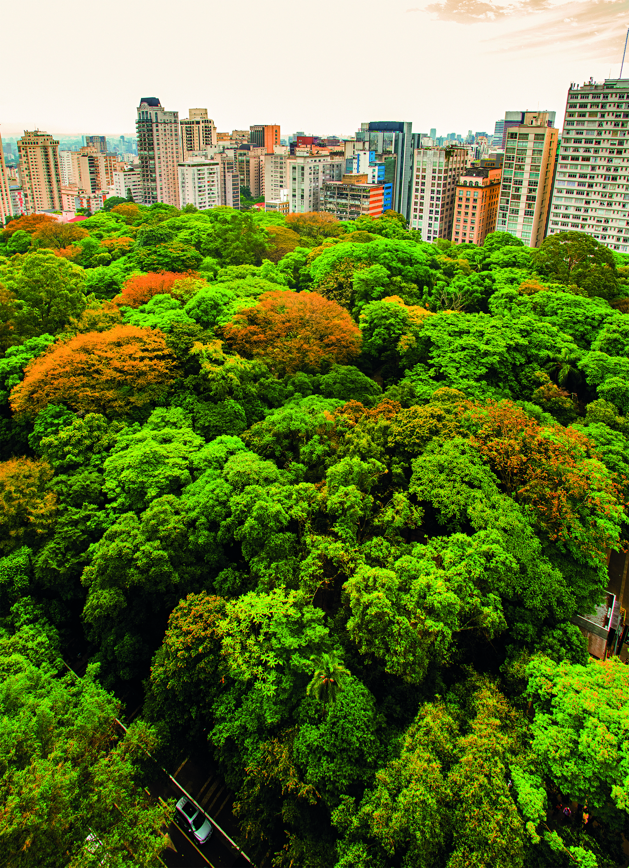 parque-trianon-masp