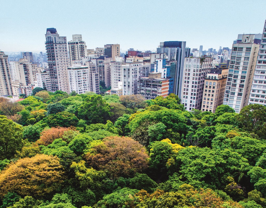 meio ambiente verde são paulo parque trianon