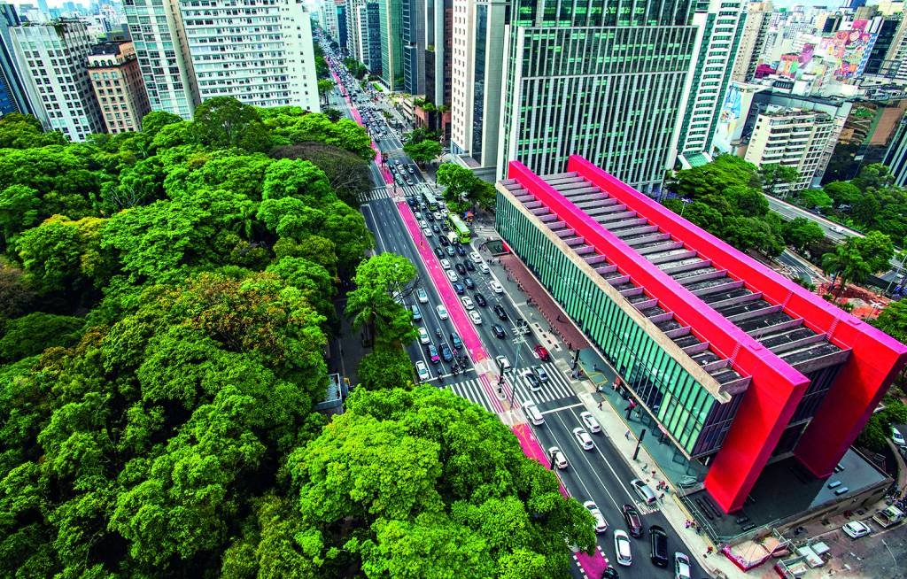 Avenida Paulista ganha passeios guiados gratuitos em junho