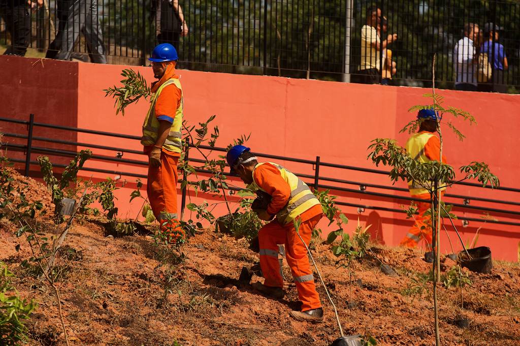 Prefeitura inicia plantio de minifloresta às margens da Billings