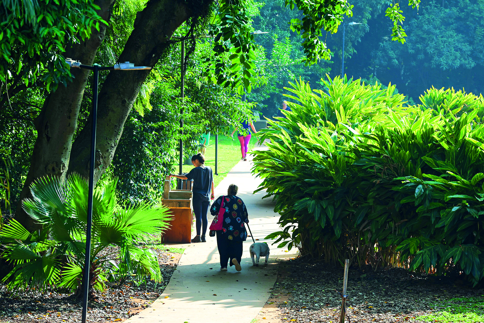 parque-augusta