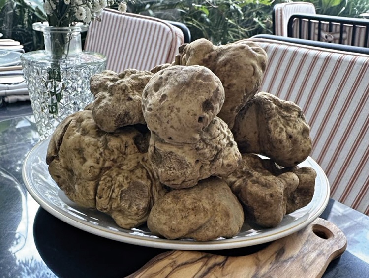 Temporada de trufas brancas em quatro restaurantes paulistanos