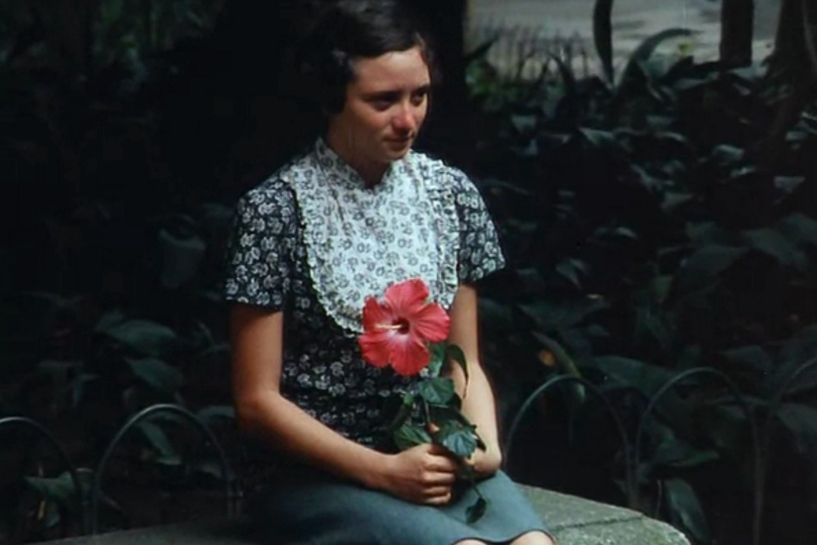 A HORA DA ESTRELA NETFLIX