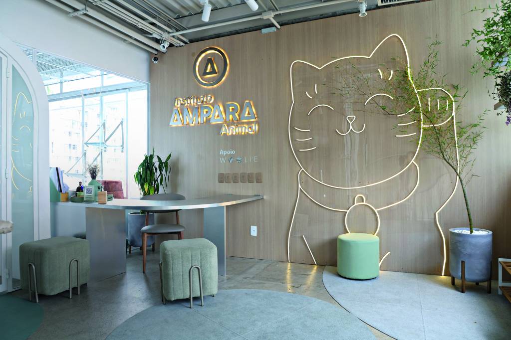 CasAdote: o novo refúgio pet que une café, design e adoção na Vila Madalena
