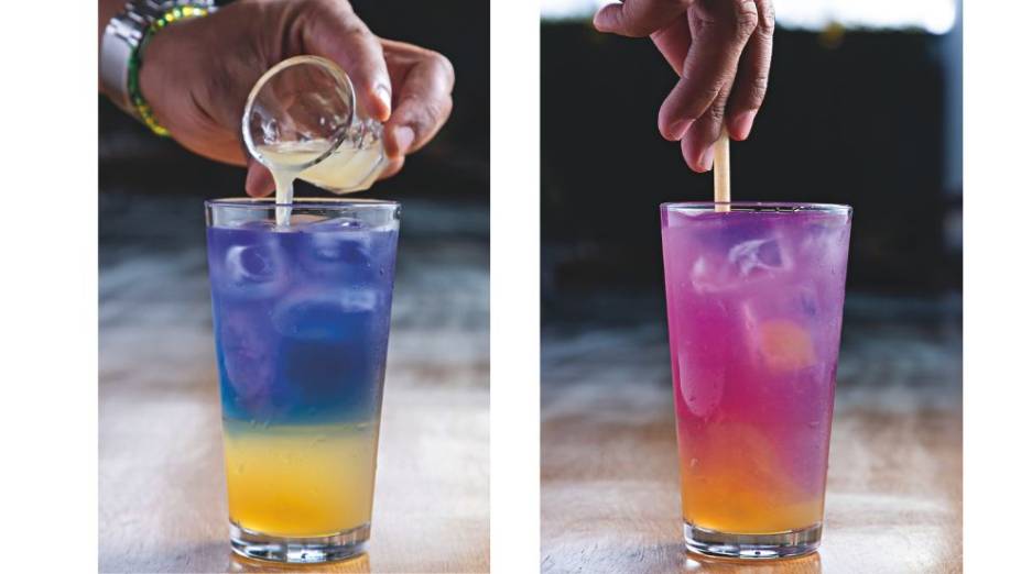 Salvi Café & Cozinha: o chá azul que muda de cor com a adição de suco de limão