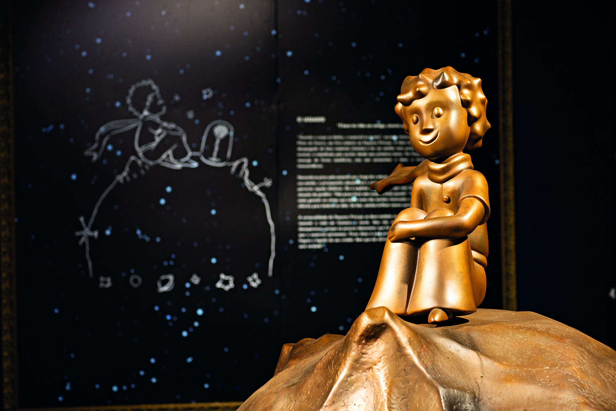 Crédito_Gabrielle Mattos_MIS Experience (8).jpg