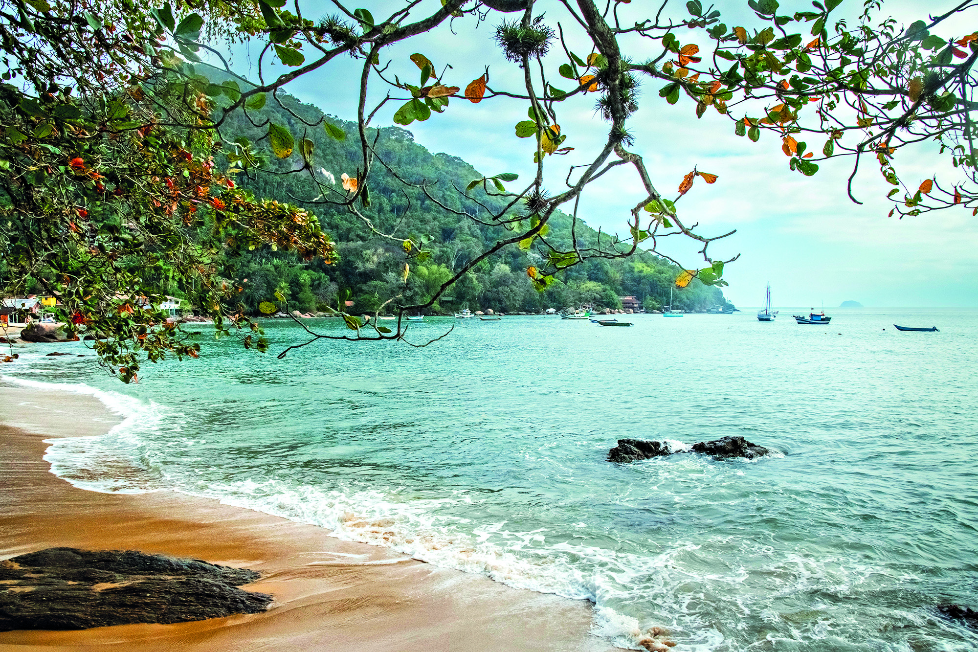 picinguaba-ubatuba