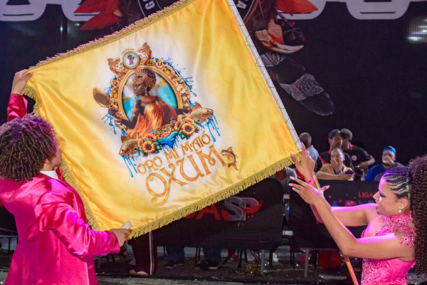 Barroca Zona Sul no Carnaval 2026: tema celebra Oxum
