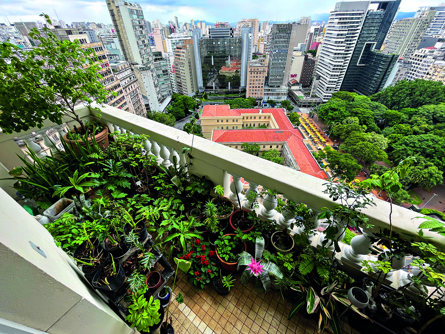 eduardo-paziam-jardineiro