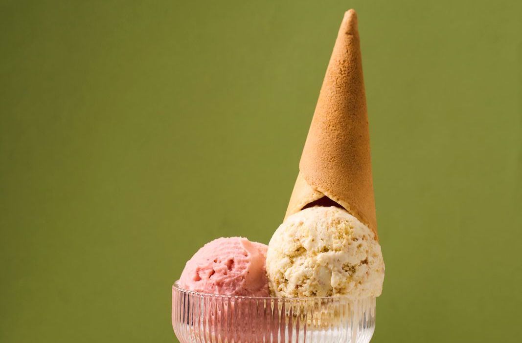 WhatsApp Image 2026-01-14 at 16.42.14