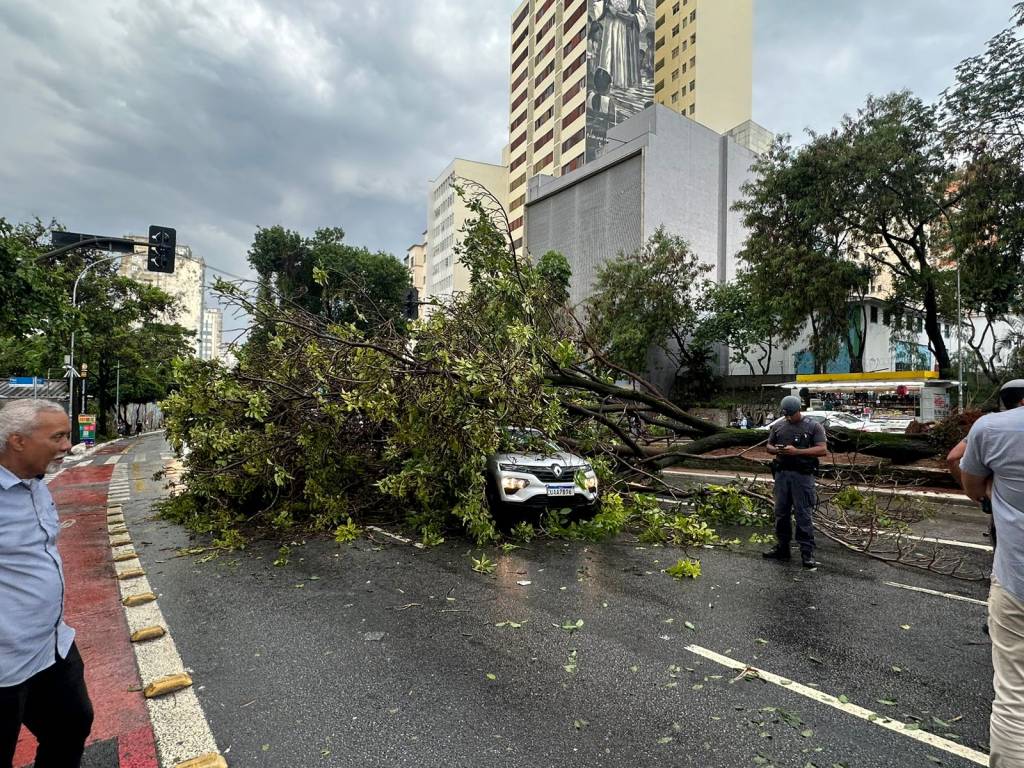 Defesa Civil dispara alerta severo por conta de chuva que atinge SP