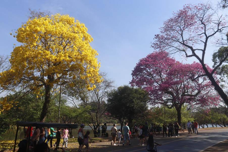 Férias: Parque Ibirapuera terá programação especial para toda a família