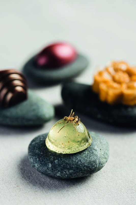 bala com formiga em cima