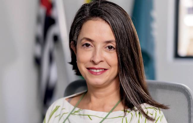Camila Moreno: “Nada justifica a privatização dos parques de São Paulo”