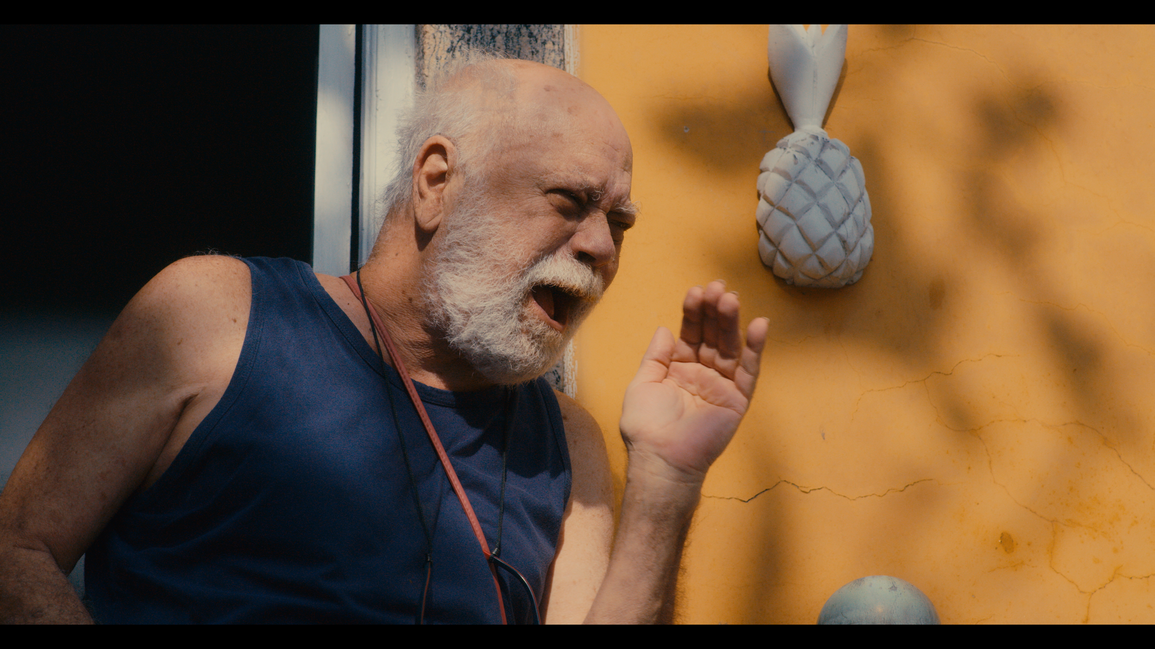 O VELHO FUSCA Crédito DIvulgação (3) (1)