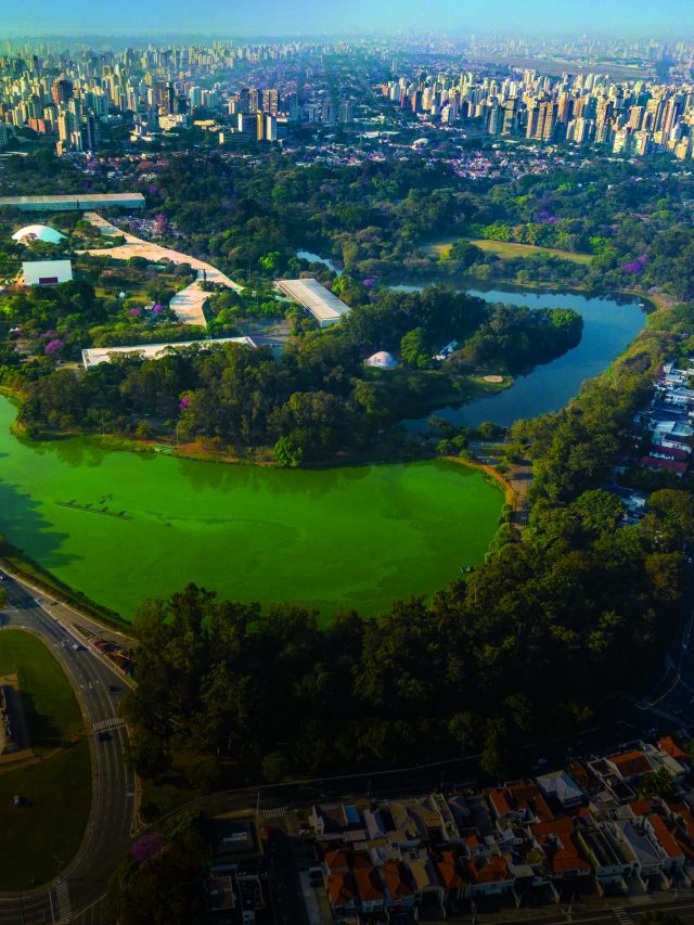 Parque-do-Ibirapuera-visto-do-alto