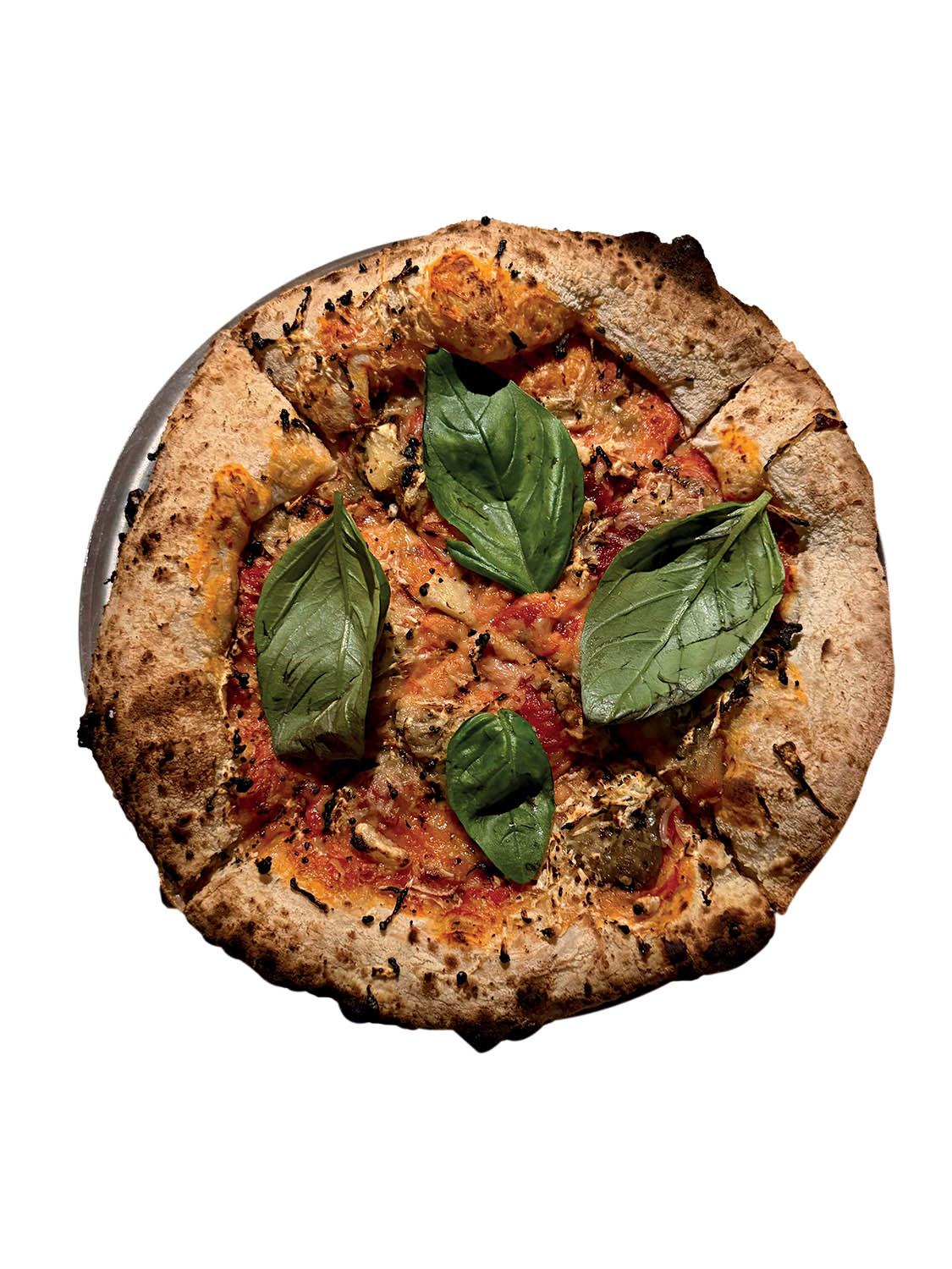 Broto – Arnaldo.jpeg