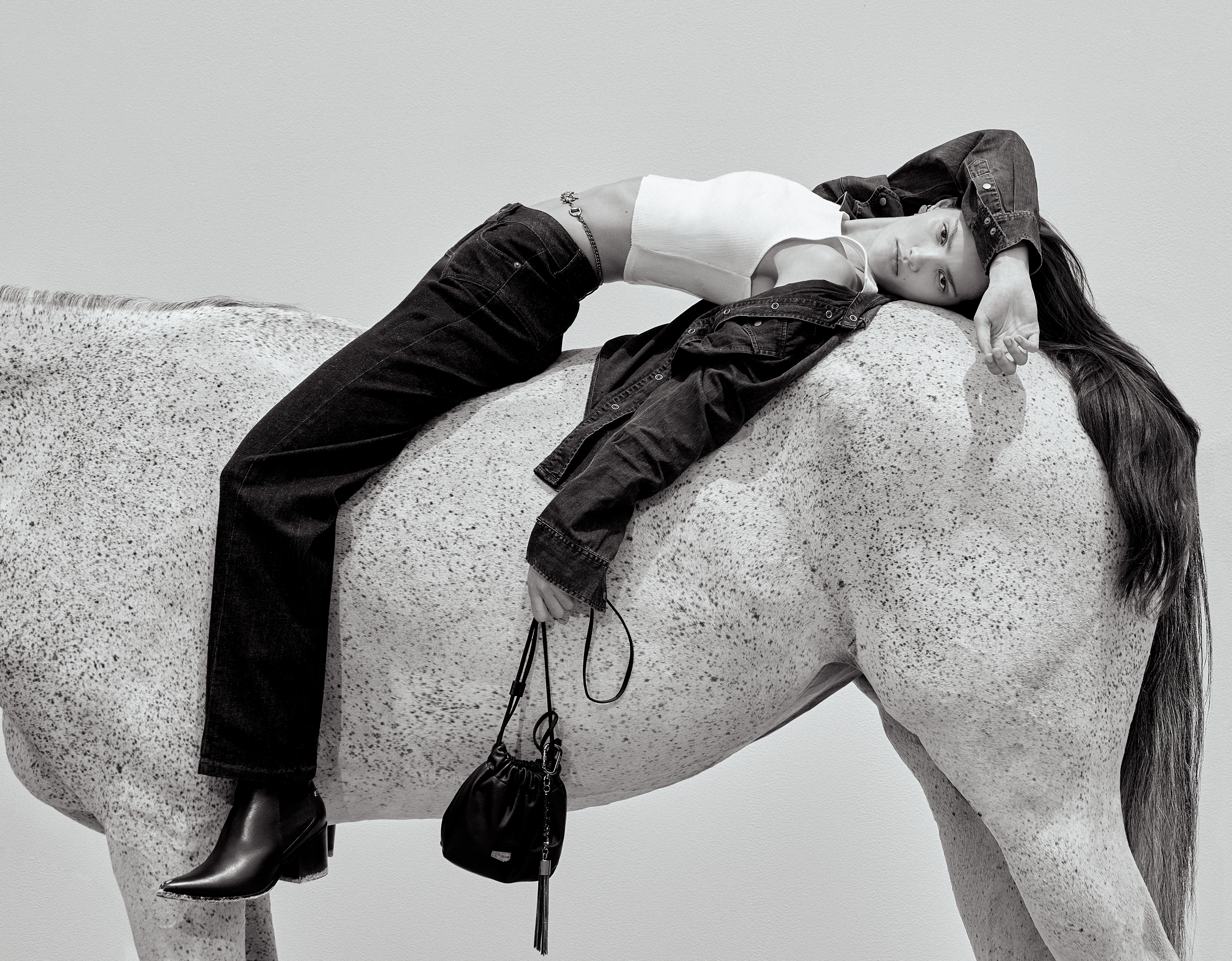 CT_ELLUS_02_03_2026__0863